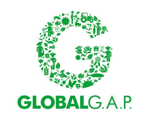 G_Icon_Logo_green_slogan